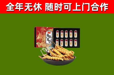 孟州烟酒回收冬虫夏草礼盒.jpg