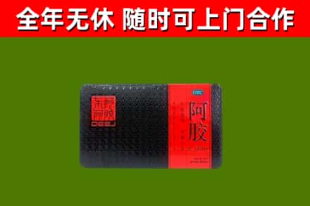 孟州回收阿胶